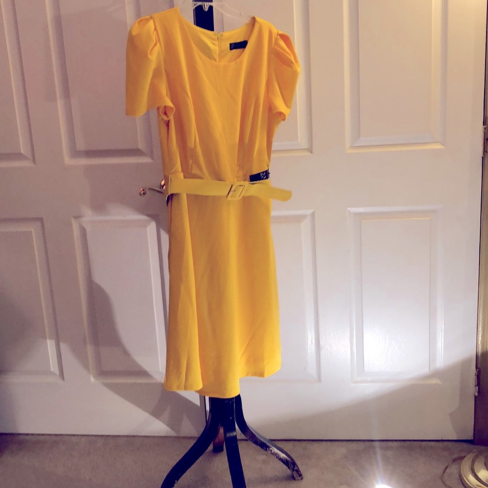 Dress New York and company, stylish!